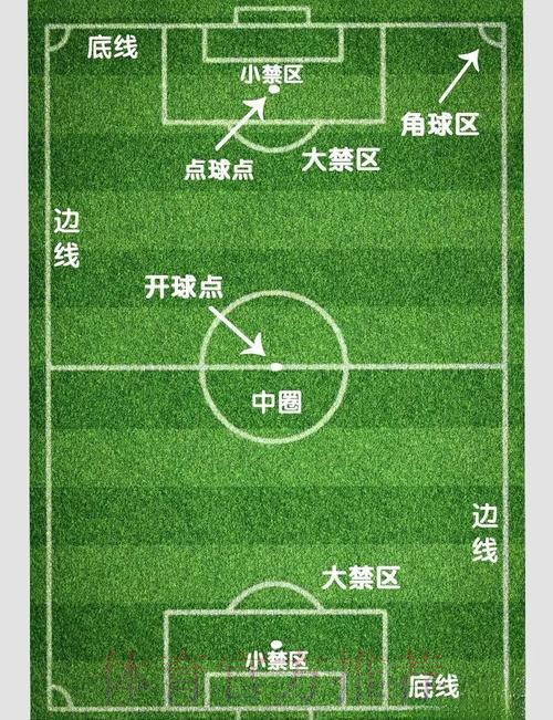 世界杯让球全解析：权威专家为你指点迷津