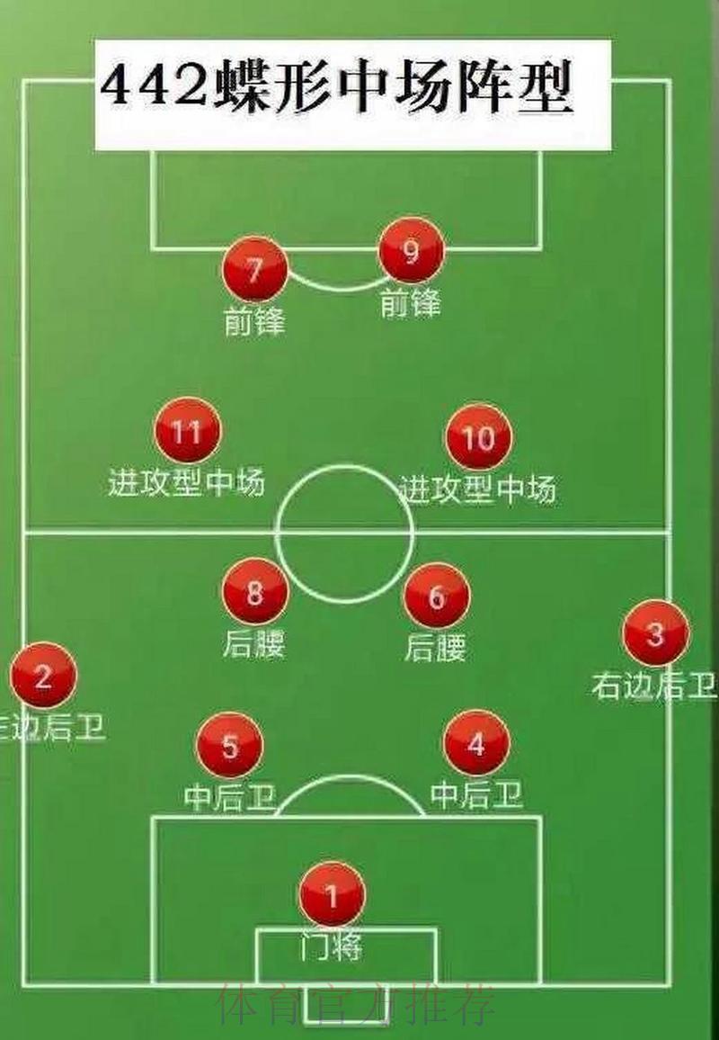 世界杯预选赛各队主教练战术布局解析
